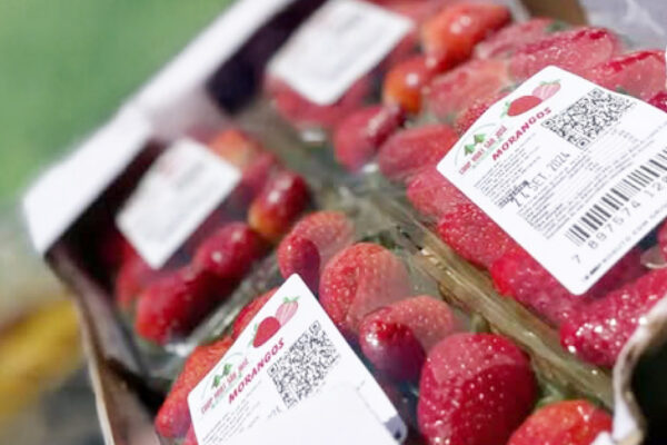 VRS-Shopee_fotos-produtos-03