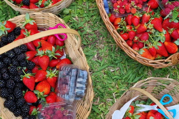 VRS-Shopee_fotos-produtos-08