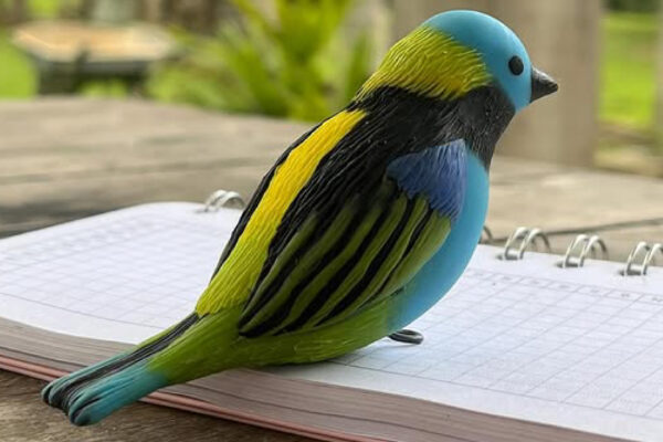 VRS-Shopee_fotos-produtos-12